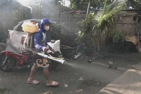 Iloilo logs 11 dengue fatalities in August .